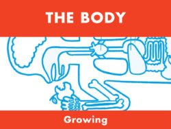 The Body - Growing