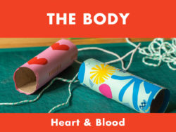 My Body - Heart & Blood