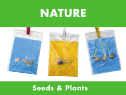 Nature - Seeds & Plants