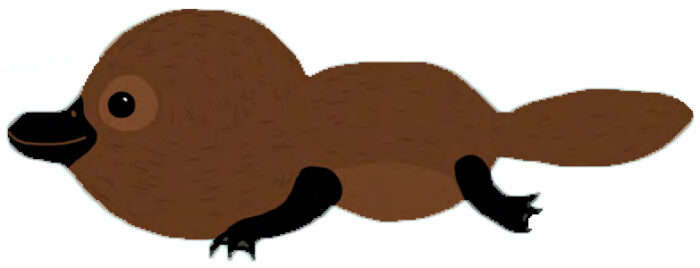 Genome mapping mammals: Why does the platypus lay eggs?