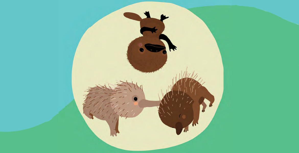 Why do some mammals lay eggs? - Okido