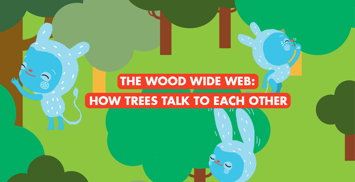 The wood wide web: How trees talk to each other